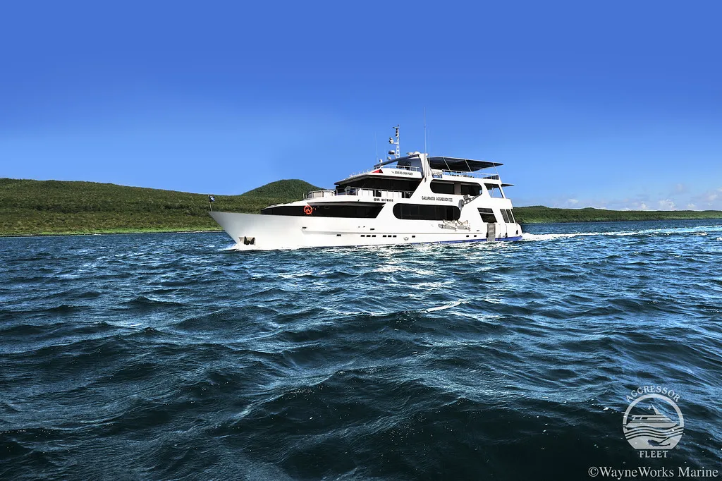 Galapagos Aggressor III Special: Get 35% Off