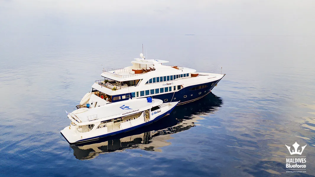 Maldives Blue Force One Special: Get $300 Off