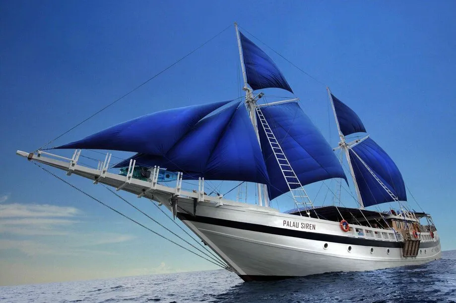 Palau Siren June Specials