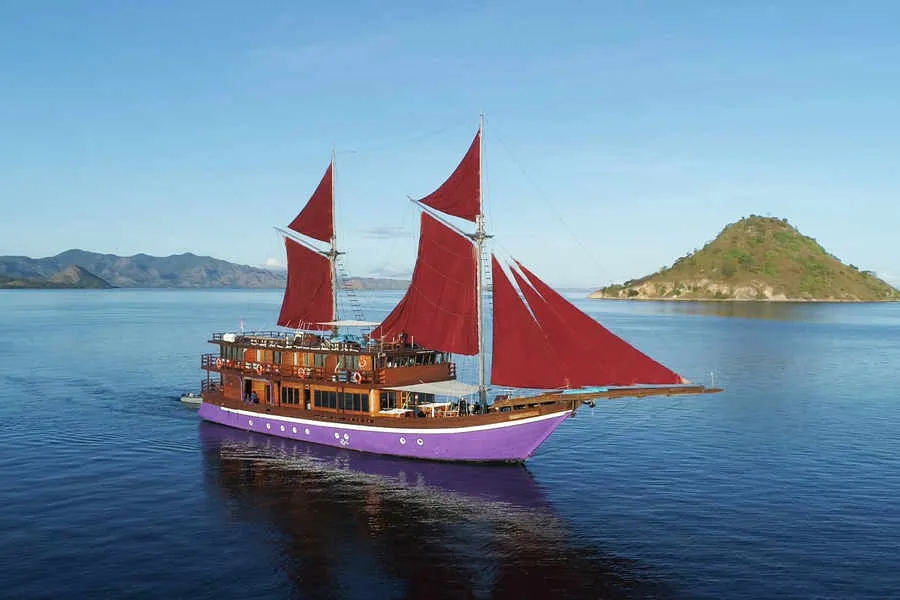Neomi Liveaboard Special July 2025