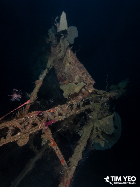 Lionfish beside the wing structure of the Japanese seaplane wreck