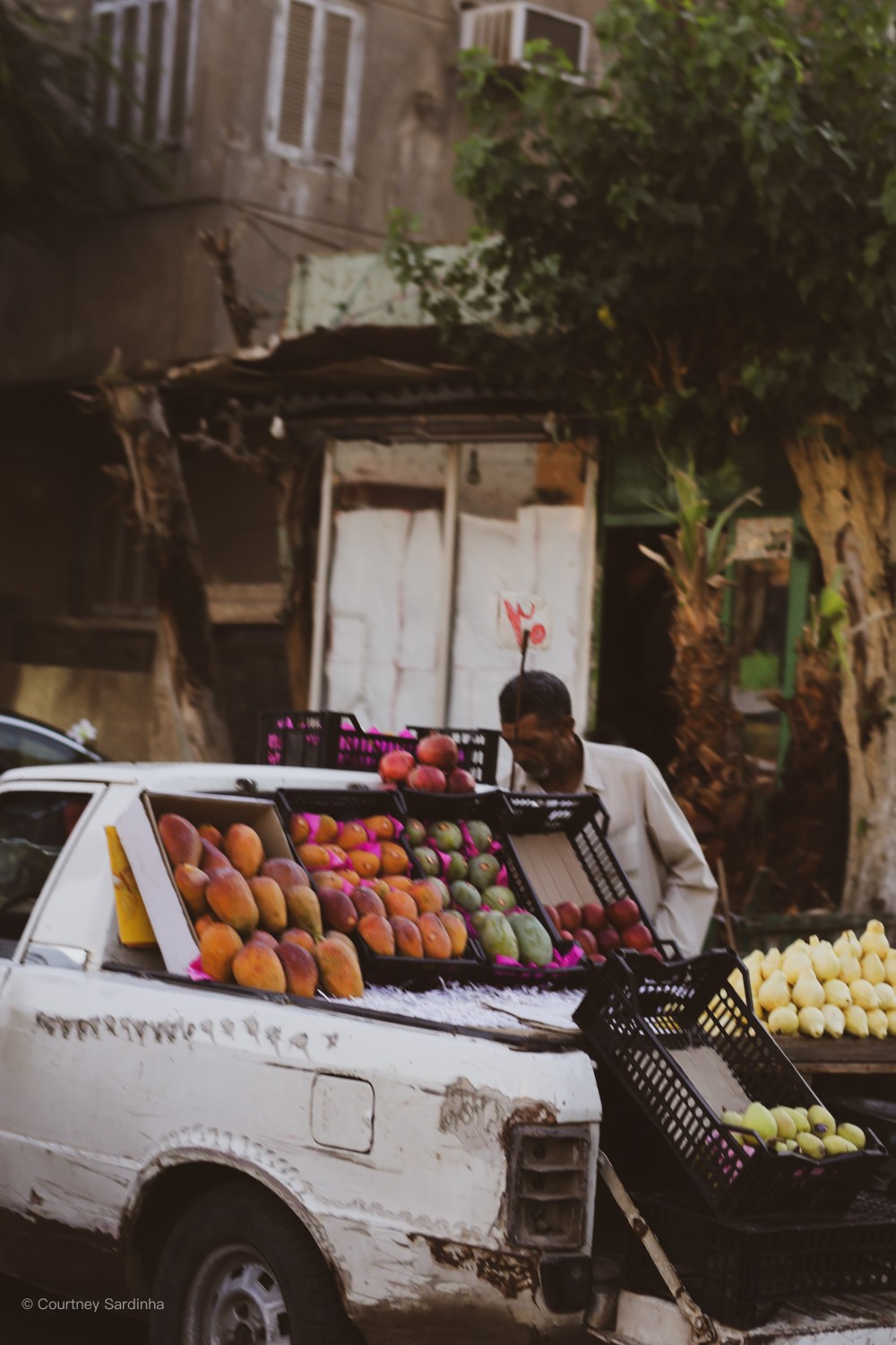 Fruit stall vendor selling mangoes from a car boot, Cairo Egypt