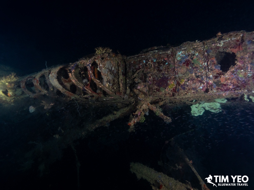 Fuselage of the Japanese seaplane wreck covered in marine growth