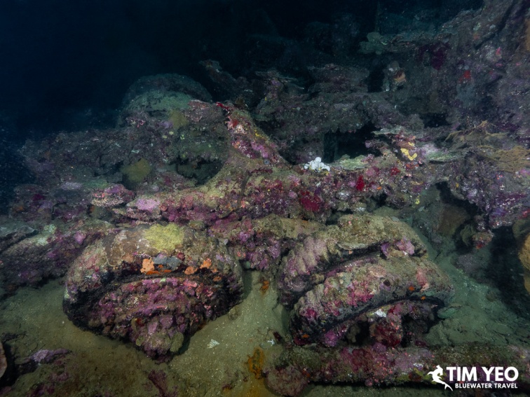 Sunken military equipment overgrown with coral at White Beach