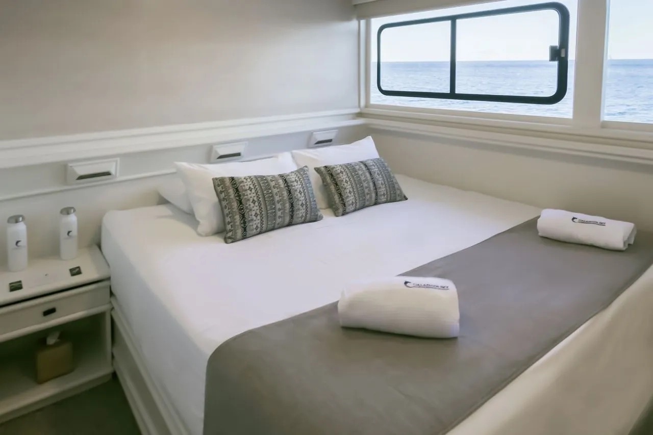 Galapagos Sky Master Cabin