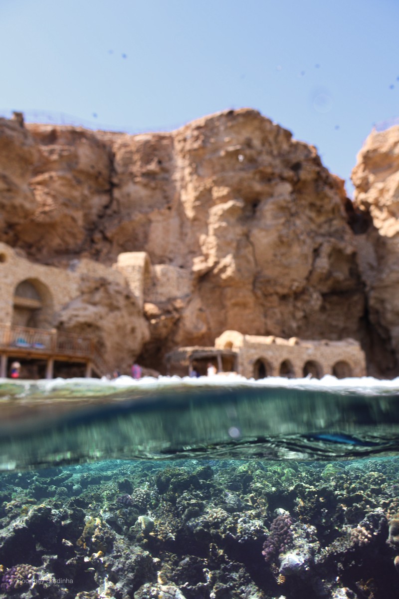 Split underwater shot showing coral reef and rocky coastline, Sharm el-Sheikh, Egypt