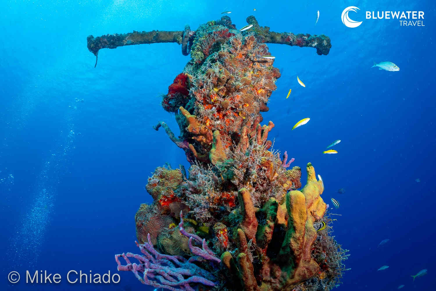 Tip of the C-53 Wreck