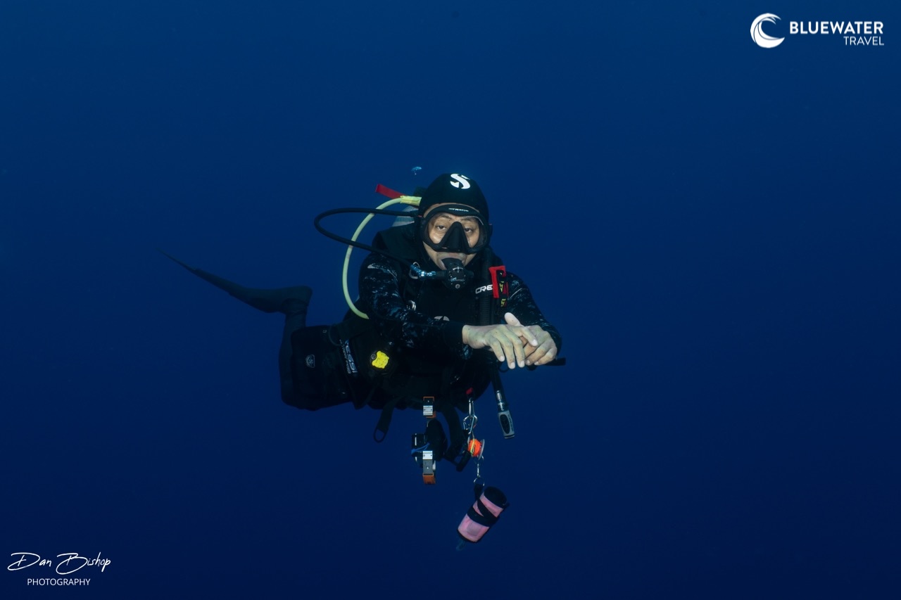 A stoic diver swim through the blue