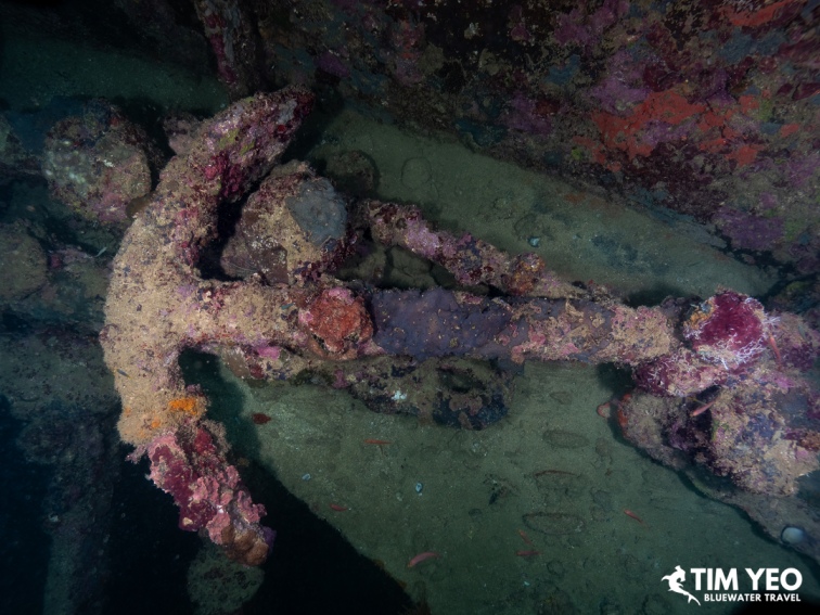 Coral-covered anchor on the bow of the Iwami Maru wreck