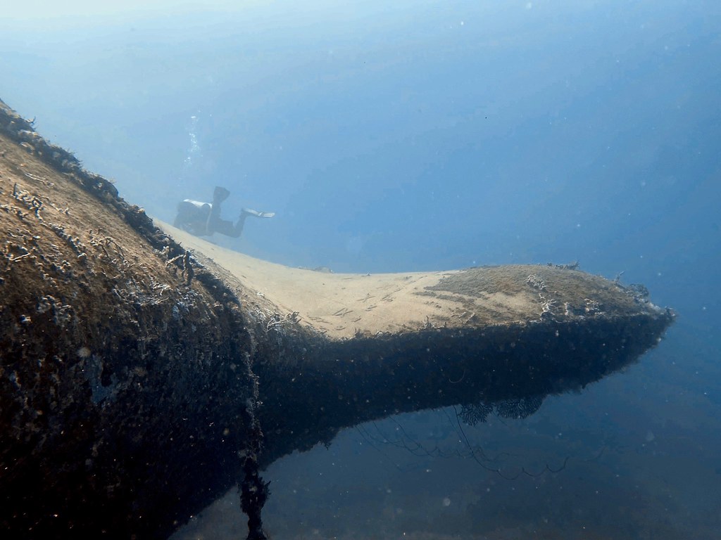 Anina Wreck