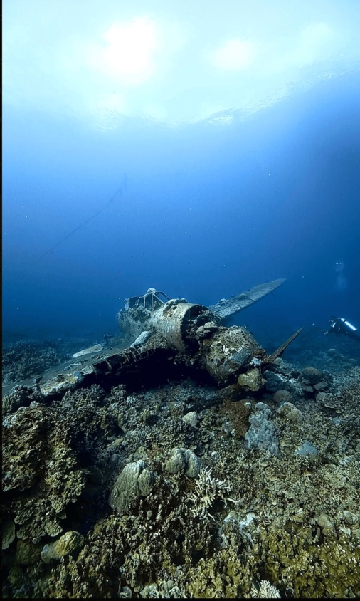 Wreck of the Jake Seaplane covered in coral