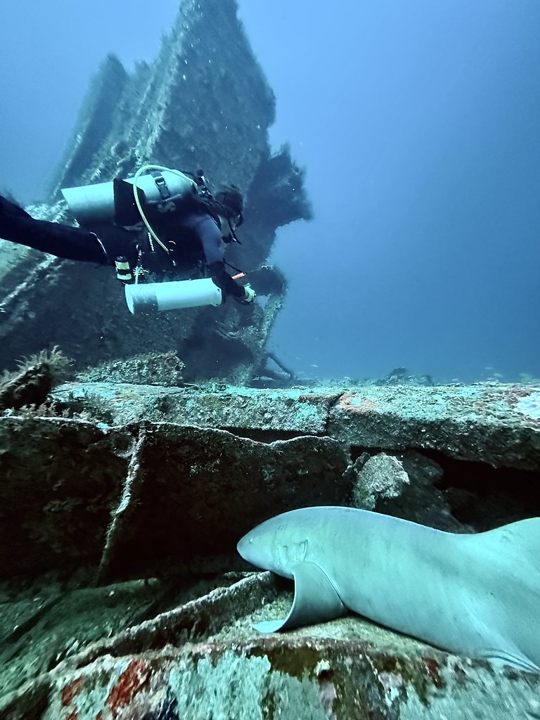 Hema Wreck (Atlantic)