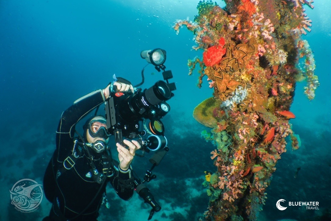 A diver takes a photo of the corals