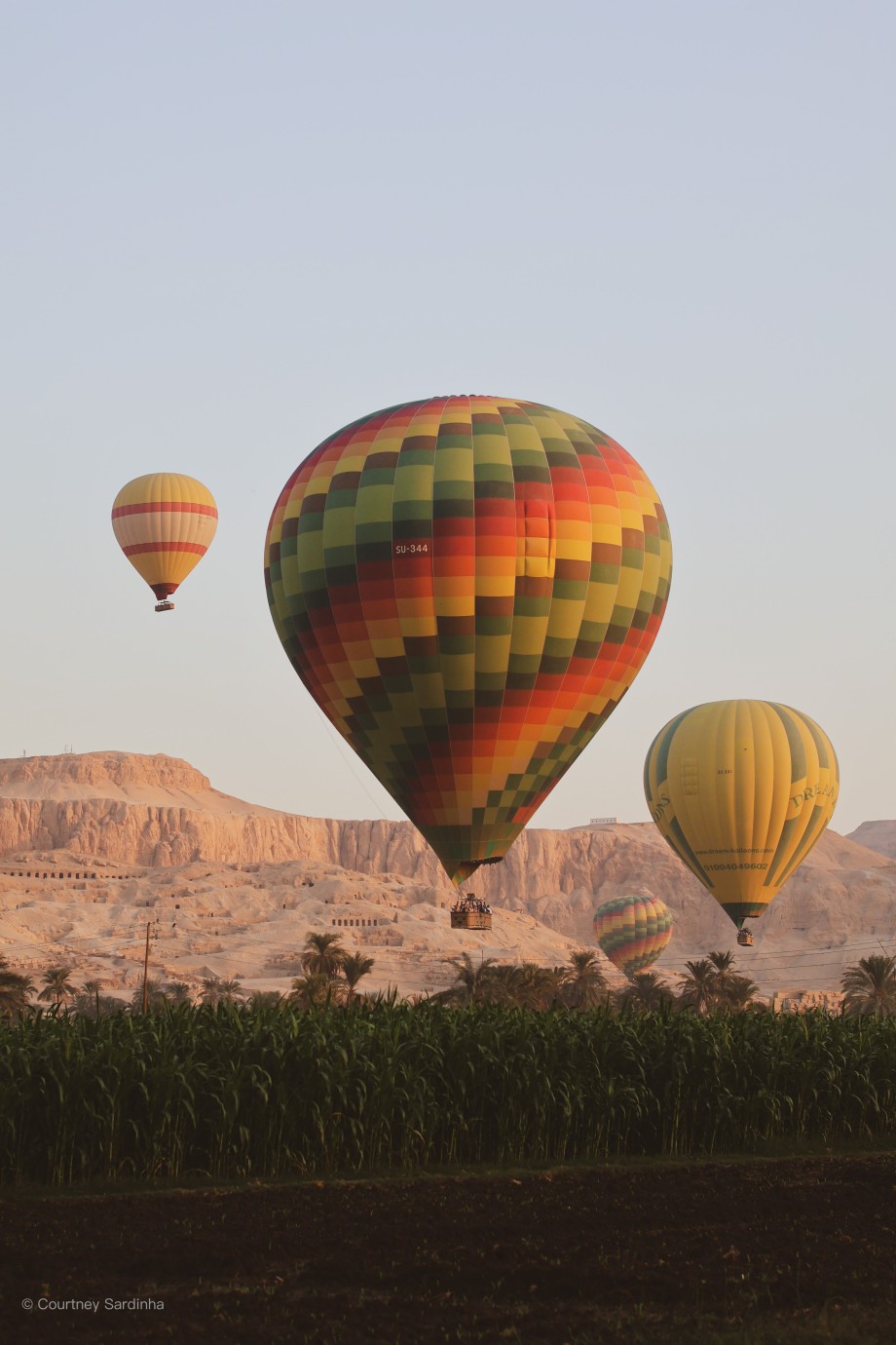 Hot air balloons floating over the West Bank of Luxor at sunrise, Egypt