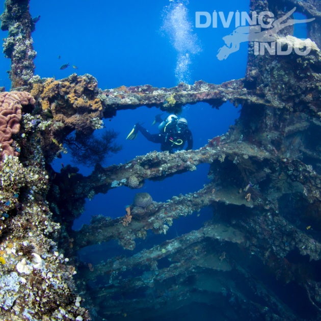 USAT Liberty shipwreck covered in coral Tulamben Bali scuba diving