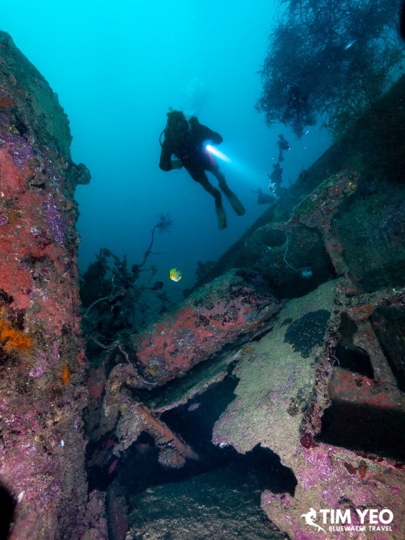 Diver exploring the wreckage of the Iwami Maru with a torch