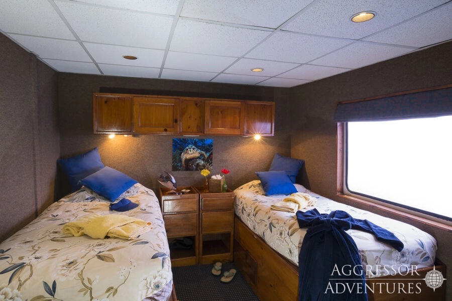 Belize Aggressor IV Deluxe Stateroom