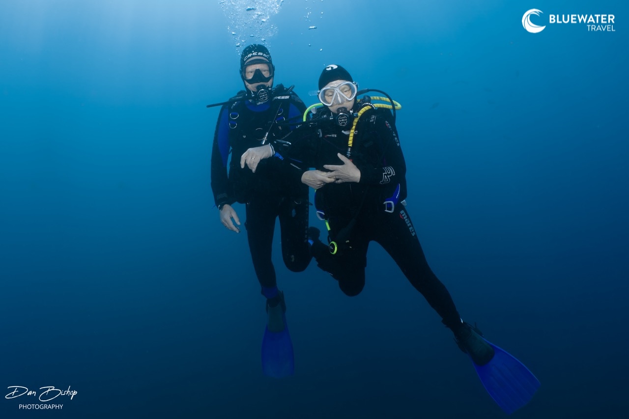 Two divers linking arms