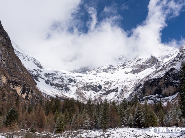 Snowy landscape