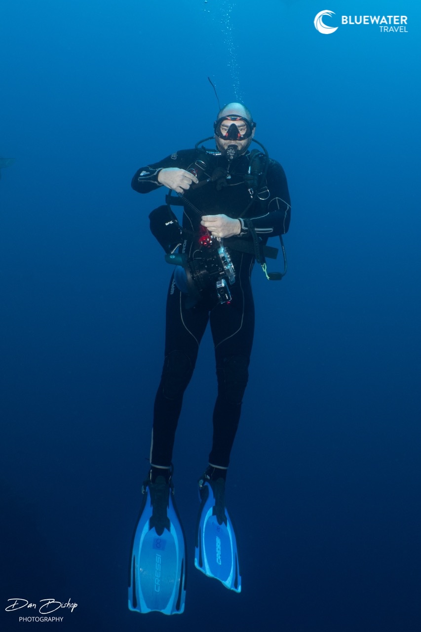 A diver ascends