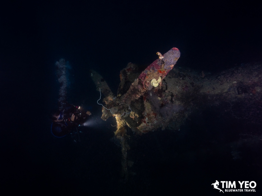 Diver exploring the sunken Japanese seaplane propeller, Solomon Islands