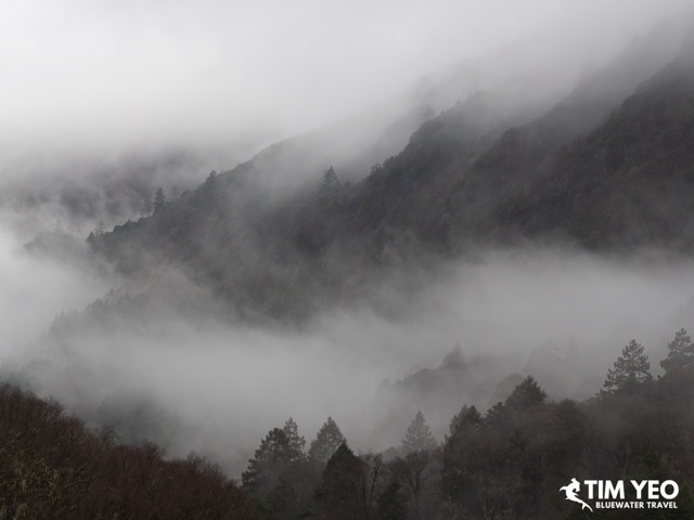 Fog covering the mountainside