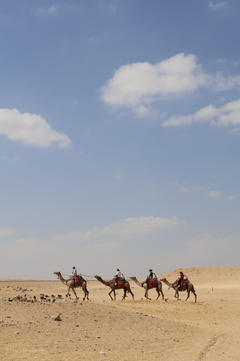 Tourists riding camels across the desert, Egypt