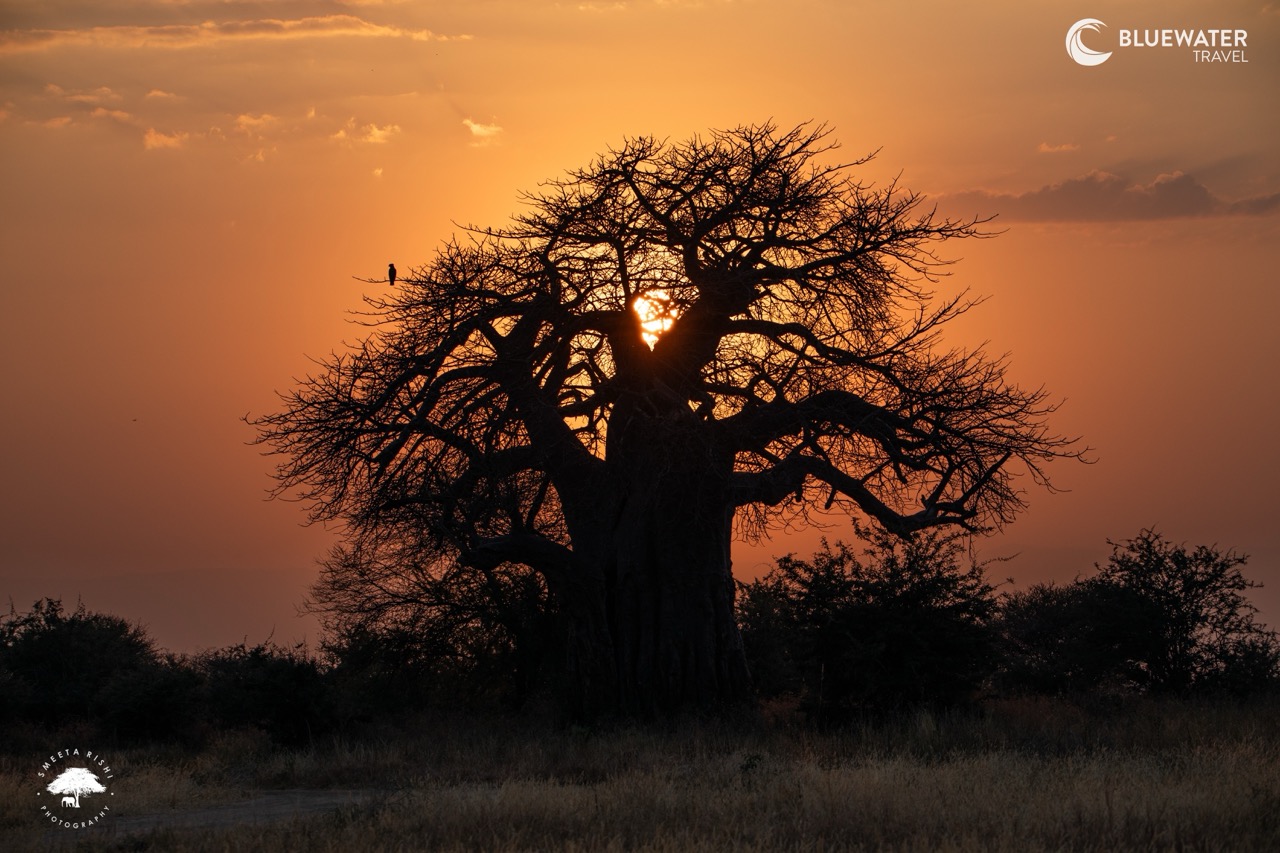 A beautiful Tanzanian sunset