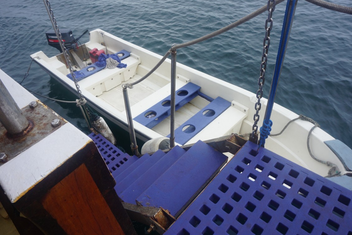 A speedboat docked alongside the liveaboard with a blue dive ladder and entry platform.
